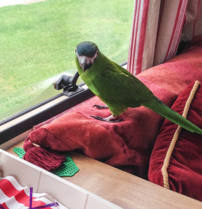 2014-07-14 17.19.19-2